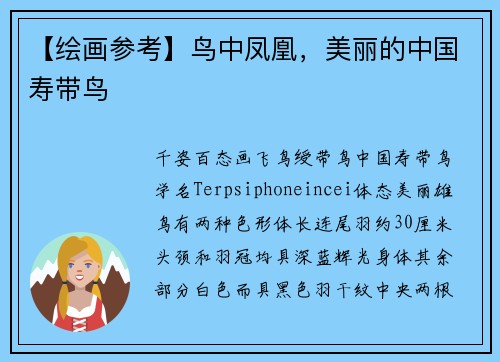 【绘画参考】鸟中凤凰，美丽的中国寿带鸟